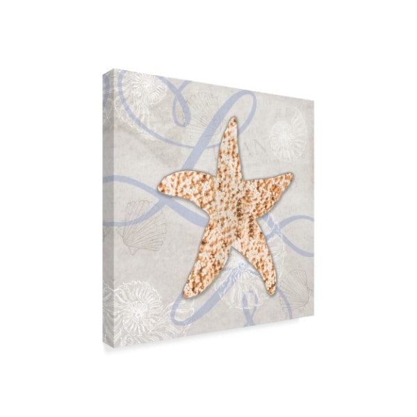 Lightboxjournal 'Starfish Texture' Canvas Art,14x14